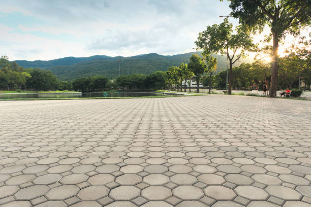 Best Best Driveway Pavers  in Williston, FL